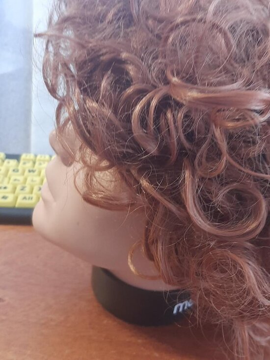 NEW ! Women Short Hair 14 inch Curly Wig Dark Blonde